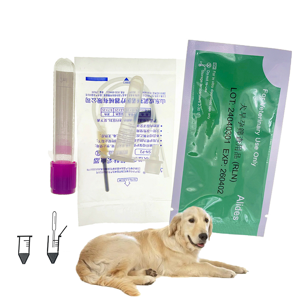 Urine Analyzer Strip - 1set/5set Kit professionale per Test di